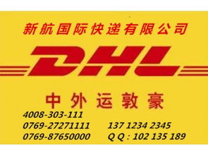 專業高效，鏈接全球 企石DHL快遞服務與南城新航貨運倉儲解決方案